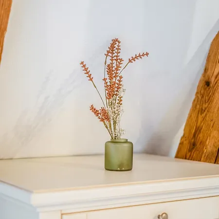 מלון Casa Chitic - Str Nicolae Balcescu 13 בראשוב