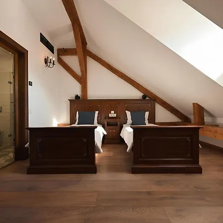 Casa Chitic