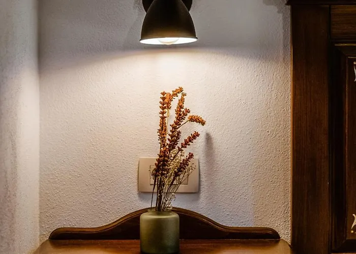 Casa Chitic - Str Nicolae Balcescu 13 Hotel