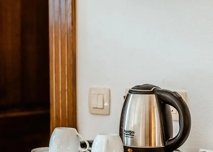 Casa Chitic - Str Nicolae Balcescu 13